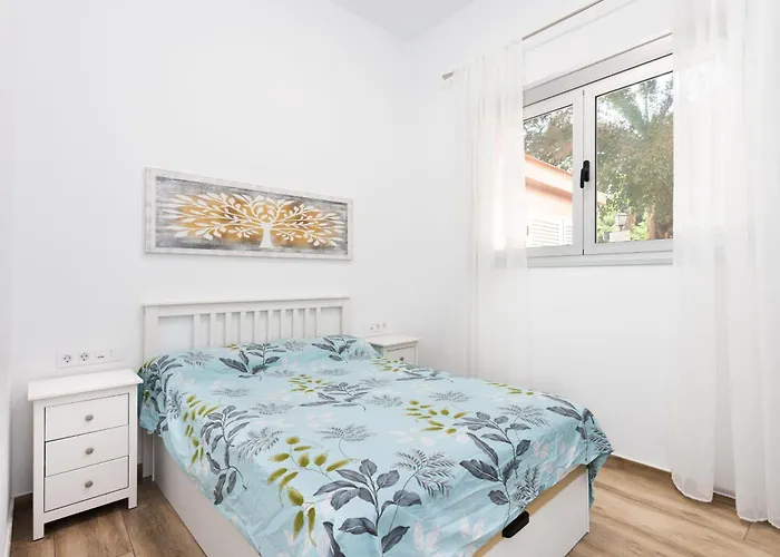 Live Santa Cruz Islas Canarias Izquierda