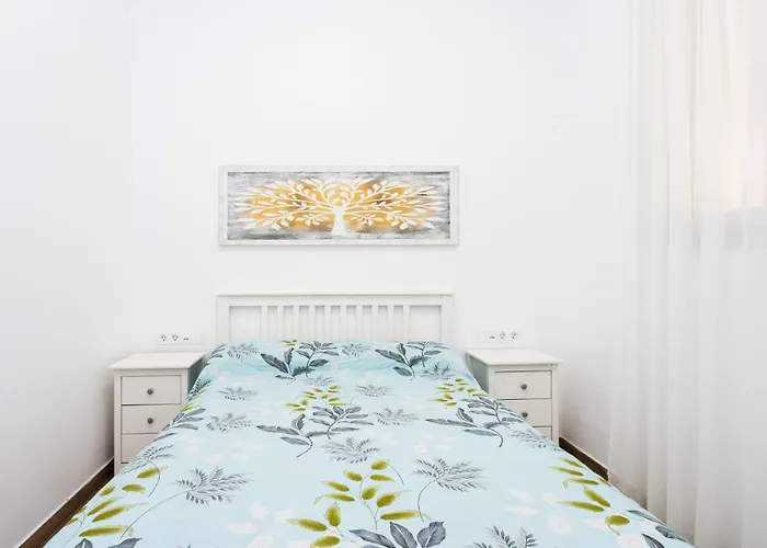 Live Santa Cruz Islas Canarias Izquierda Daire *